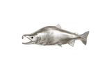 Phillips Collection Sockeye Salmon Fish Wall Sculpture Resin Silver Leaf Accent