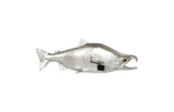 Phillips Collection Sockeye Salmon Fish Wall Sculpture Resin Silver Leaf Accent