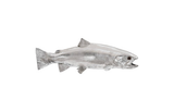 Phillips Collection Rainbow Trout Fish Resin Silver Leaf Accent