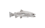 Phillips Collection Rainbow Trout Fish Resin Silver Leaf Accent