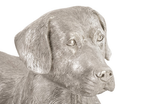 Phillips Collection Labrador, Laying Silver Leaf Accent