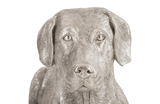 Phillips Collection Labrador, Laying Silver Leaf Accent