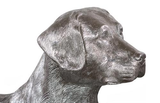 Phillips Collection Labrador, Laying Silver Leaf Accent