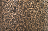 Phillips Collection String Theory Bronze SM Planter
