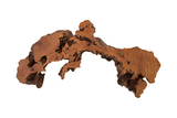 Phillips Collection Burled Root Wall Art Medium Faux Bois Finish Accent