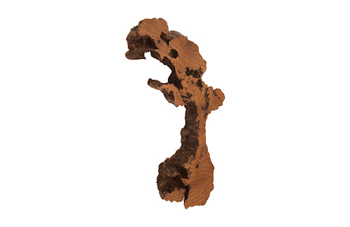 Phillips Collection Burled Root Wall Art Medium Faux Bois Finish Accent