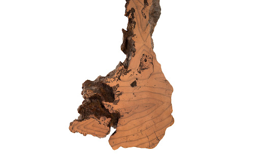 Phillips Collection Burled Root Wall Art Medium Faux Bois Finish Accent
