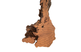 Phillips Collection Burled Root Wall Art Medium Faux Bois Finish Accent