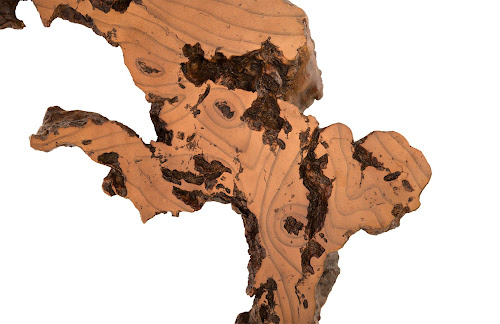 Phillips Collection Burled Root Wall Art Medium Faux Bois Finish Accent
