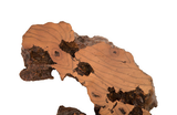 Phillips Collection Burled Root Wall Art Medium Faux Bois Finish Accent