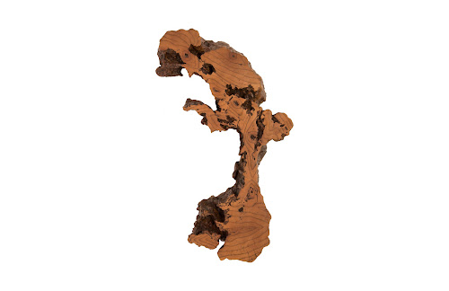 Phillips Collection Burled Root Wall Art Medium Faux Bois Finish Accent