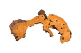Phillips Collection Burled Root Wall Art Medium Faux Bois Finish Accent
