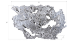 Phillips Collection Burled Root Wall Art Large Silver Leaf Accent