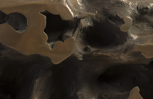 Phillips Collection Beau Cast Root  Table Bronze Console