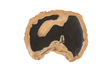 Phillips Collection Cast Petrified Wood Wall Tile Resin Thin Wall Art
