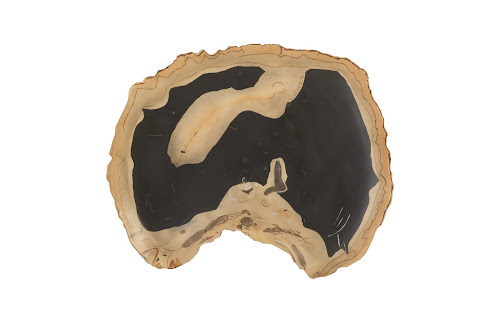 Phillips Collection Cast Petrified Wood Wall Tile Resin Thin Wall Art