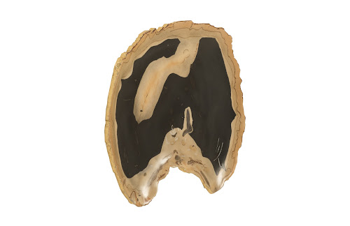 Phillips Collection Cast Petrified Wood Wall Tile Resin Thin Wall Art