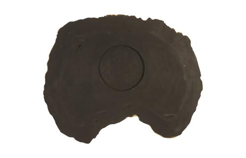Phillips Collection Cast Petrified Wood Wall Tile Resin Thin Wall Art