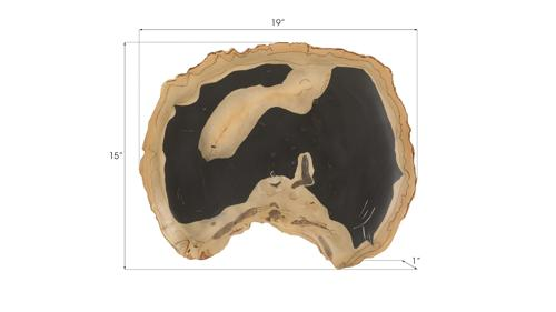 Phillips Collection Cast Petrified Wood Wall Tile Resin Thin Wall Art