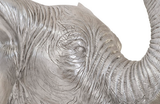 Phillips Collection Elephant Wall Art Resin Silver Leaf Accent