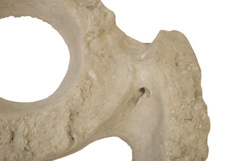 Phillips Collection Colossal Cast Stone Sculpture Double Hole Roman Stone Accent