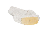 Phillips Collection Colossal Cast Stone Sculpture Double Hole Roman Stone Accent