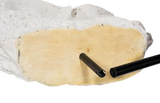Phillips Collection Colossal Cast Stone Sculpture Double Hole Roman Stone Accent