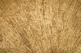 Phillips Collection Convergence Resin Gold Leaf Mirror