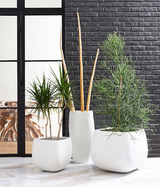 Phillips Collection Swell Large White Planter