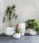 Phillips Collection Swell Small White Planter