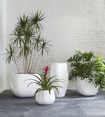 Phillips Collection Amorphous Small White Planter