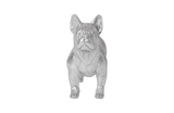 Phillips Collection French Bulldog Silver Accent