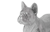 Phillips Collection French Bulldog Silver Accent