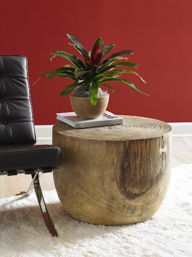 Phillips Collection Lathe Chamcha Wood Side Table