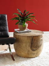 Phillips Collection Lathe Chamcha Wood Side Table