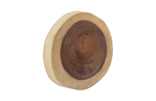 Phillips Collection Chuleta Wall Tile Chamcha Wood LG Wall Art