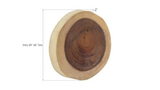 Phillips Collection Chuleta Wall Tile Chamcha Wood LG Wall Art