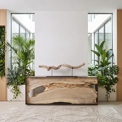 Phillips Collection Vine on Stand Brown Tabletop
