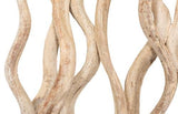 Phillips Collection Vine Wall Tile Brown Wall Art