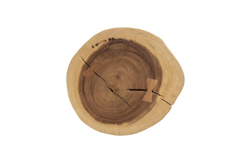 Phillips Collection Stump Natural Assorted Stool