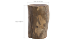 Phillips Collection Stump Natural Assorted Stool