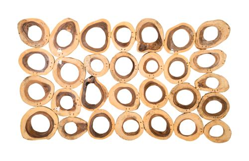 Phillips Collection Chuleta Rings Wall Art Chamcha Wood Rectangular Accent