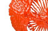 Phillips Collection Flower Wall Art Small Coral Metal Accent