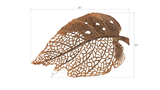 Phillips Collection Birch Leaf Wall Art Copper MD Accent