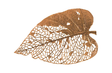 Phillips Collection Birch Leaf Wall Art Copper XL Accent