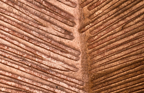 Phillips Collection Carved Leaf on Stand, Copper Leaf MD Accent