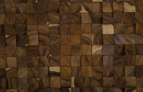 Phillips Collection Blocks Chamcha Wood Natural LG Wall Art