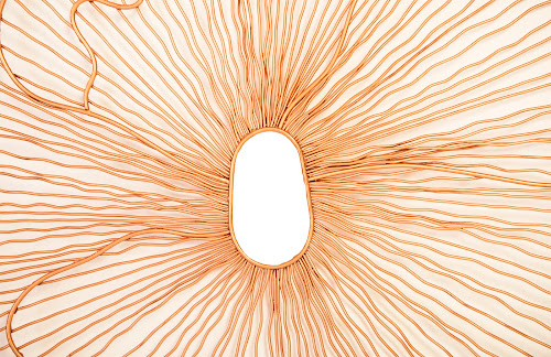 Phillips Collection Poppy Flower Wall Art Copper LG Accent