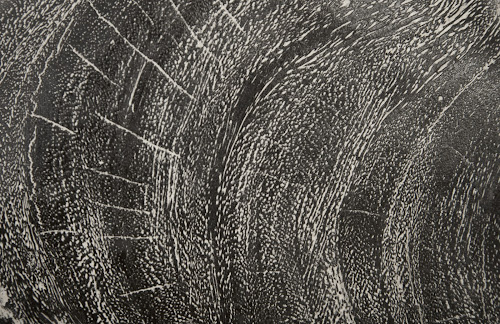 Phillips Collection River Stone Wall Tile Gray Stone MD Accent