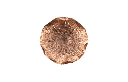Phillips Collection Lotus Copper/Black SM Wall Art